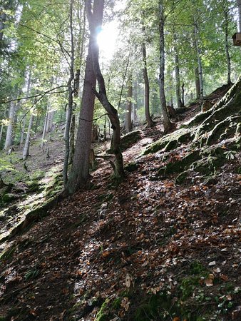 Zwergenweg