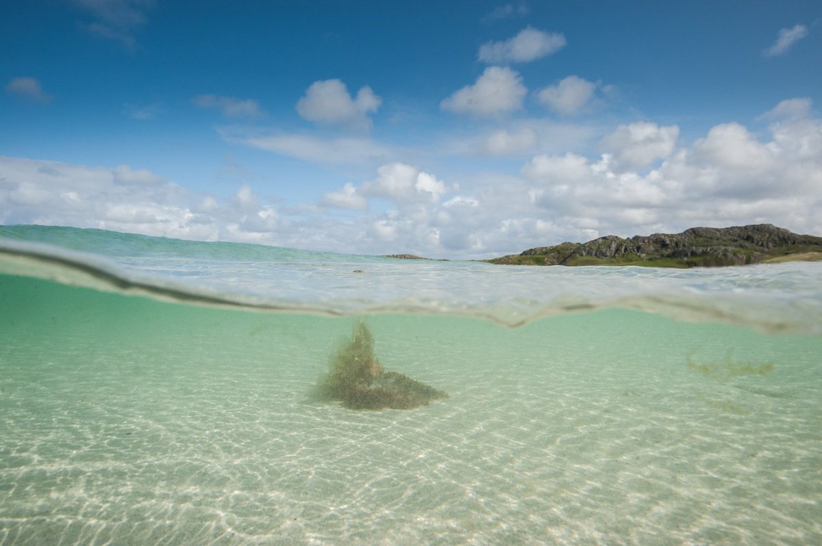 Reef Beach
