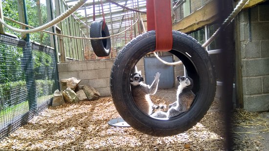 Ponderosa Zoo