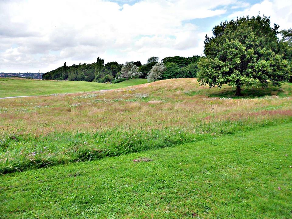 Landseer Park
