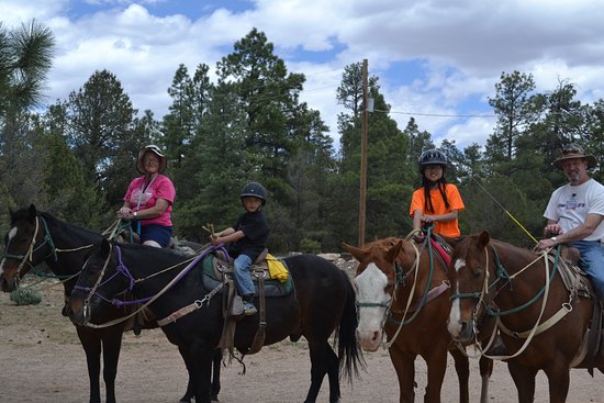 Grand Canyon Apache Stables