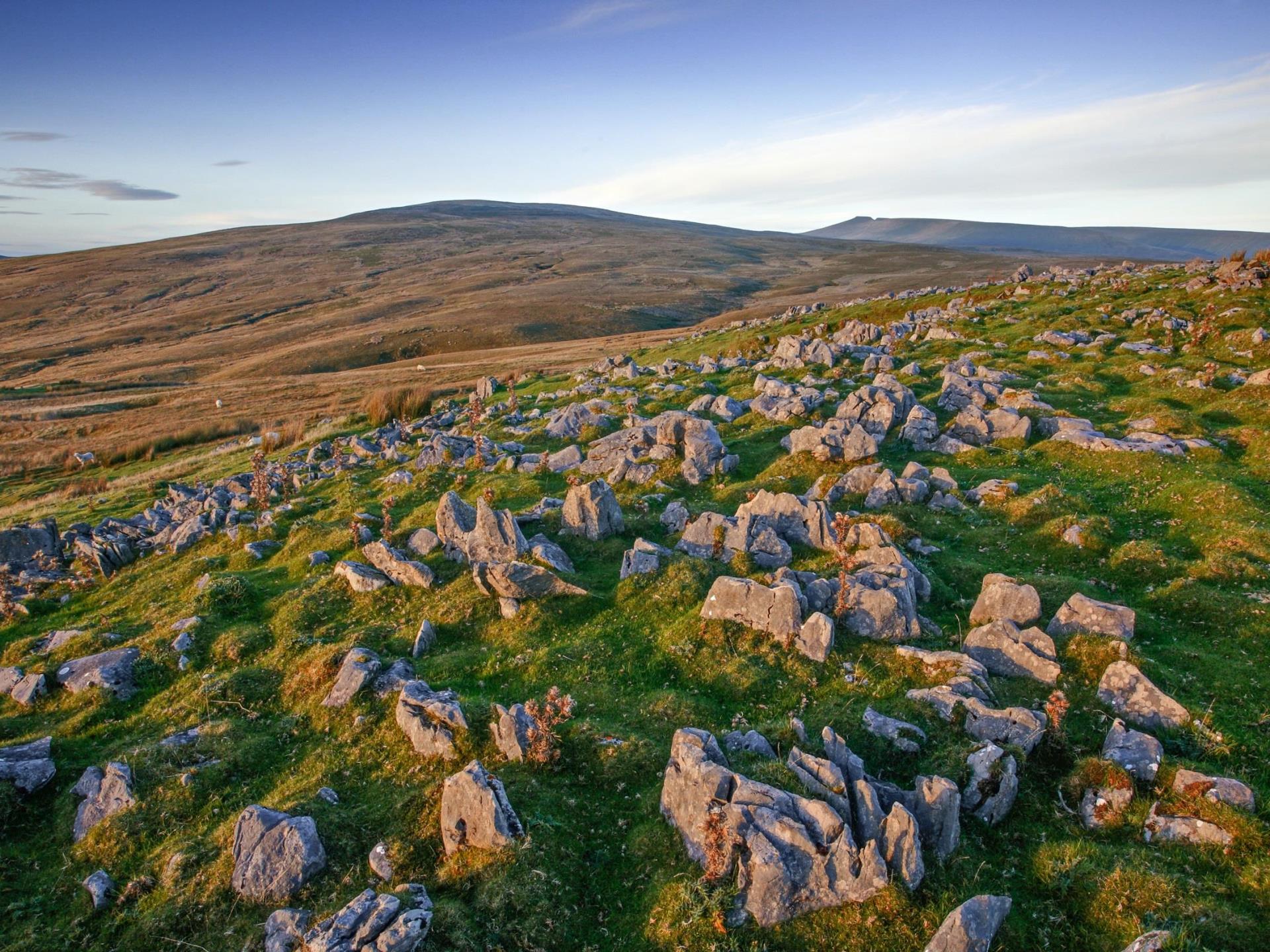 Fforest Fawr Geopark