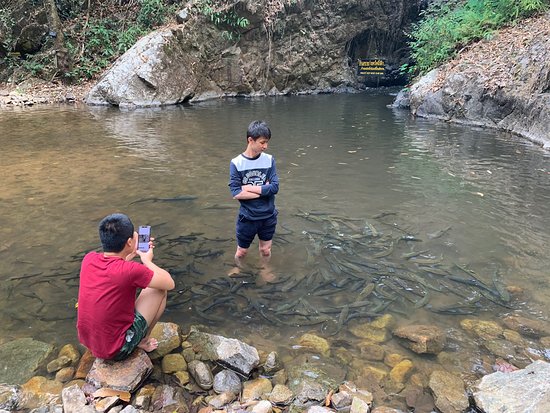 Wiang Ko Sai National Park