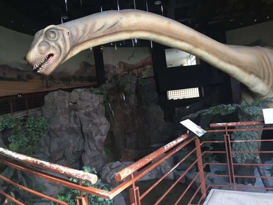 National Geological Museum