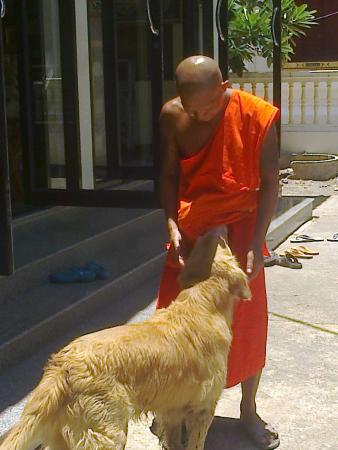 Wat Yai Sawang Arom