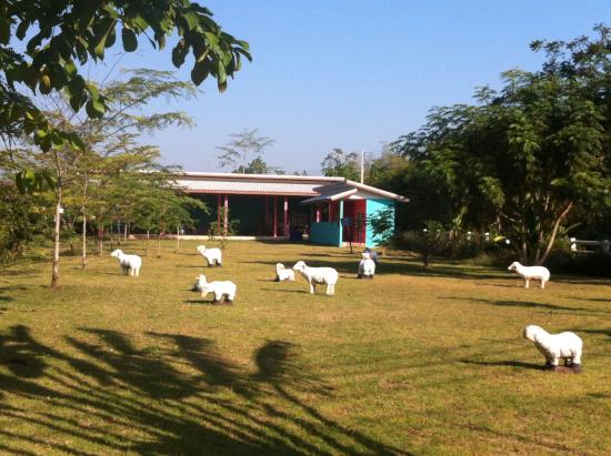 The Lion Park Resort