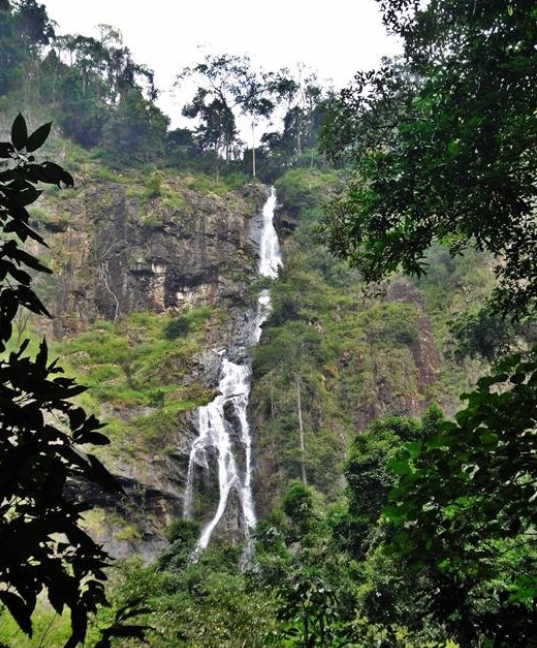 Tat Mok National Park