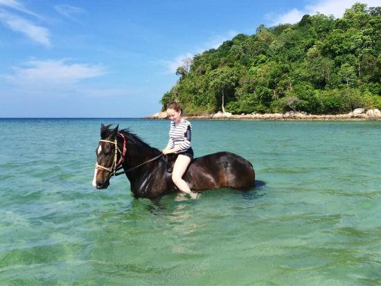 Phuket International Horse Club