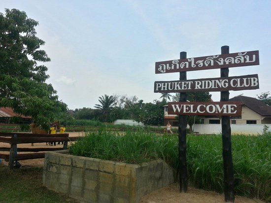 Phuket Riding Club