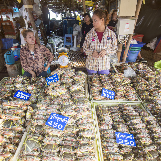 Fish Market Angsila