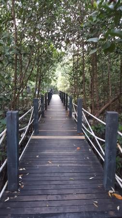 Center for Ecotourism