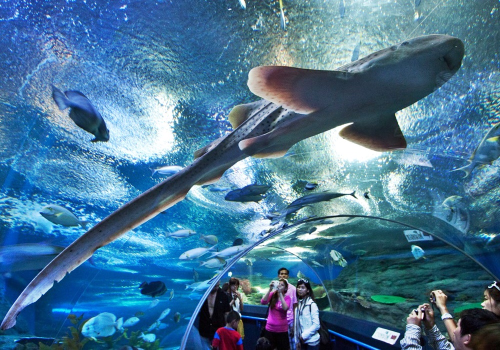 Underwater World Pattaya