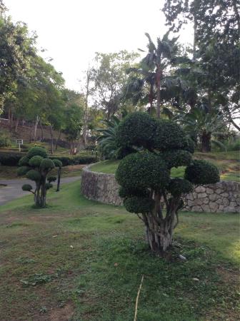 Outdoor Pictures 1
