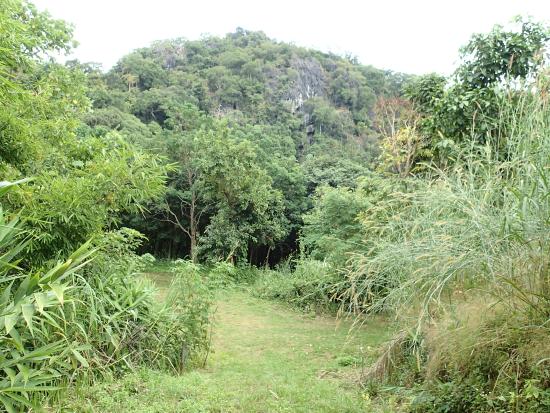 Tham Pha Tup Forest Park