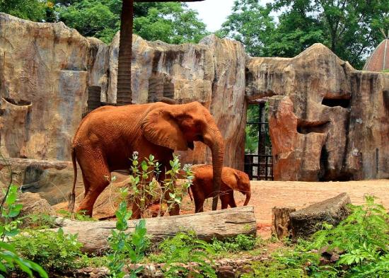 Nakhon Ratchasima Zoo