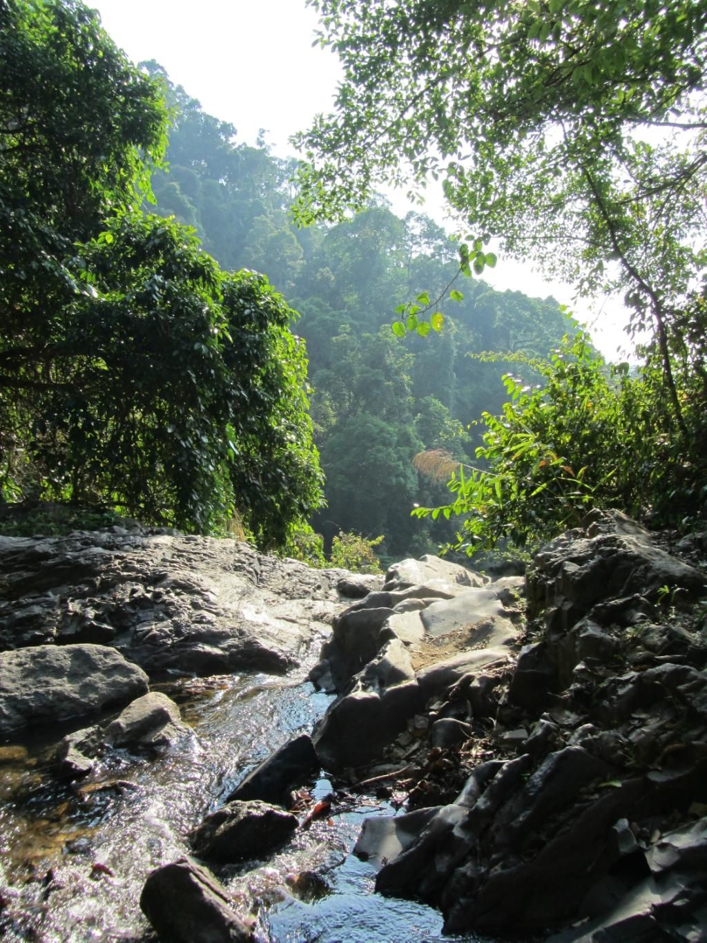 Khao Phanom Bencha National Park