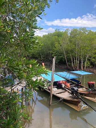 Thung Yee Pheng Mangrove Forest