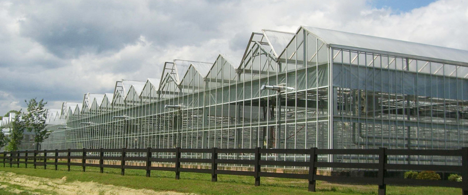 Actiondome