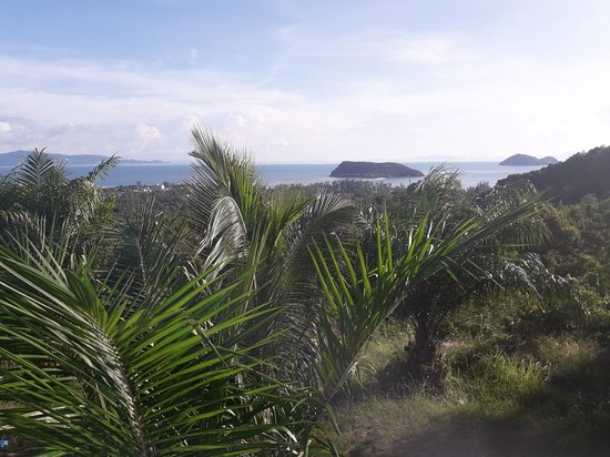 Twin Mountain Viewpoint