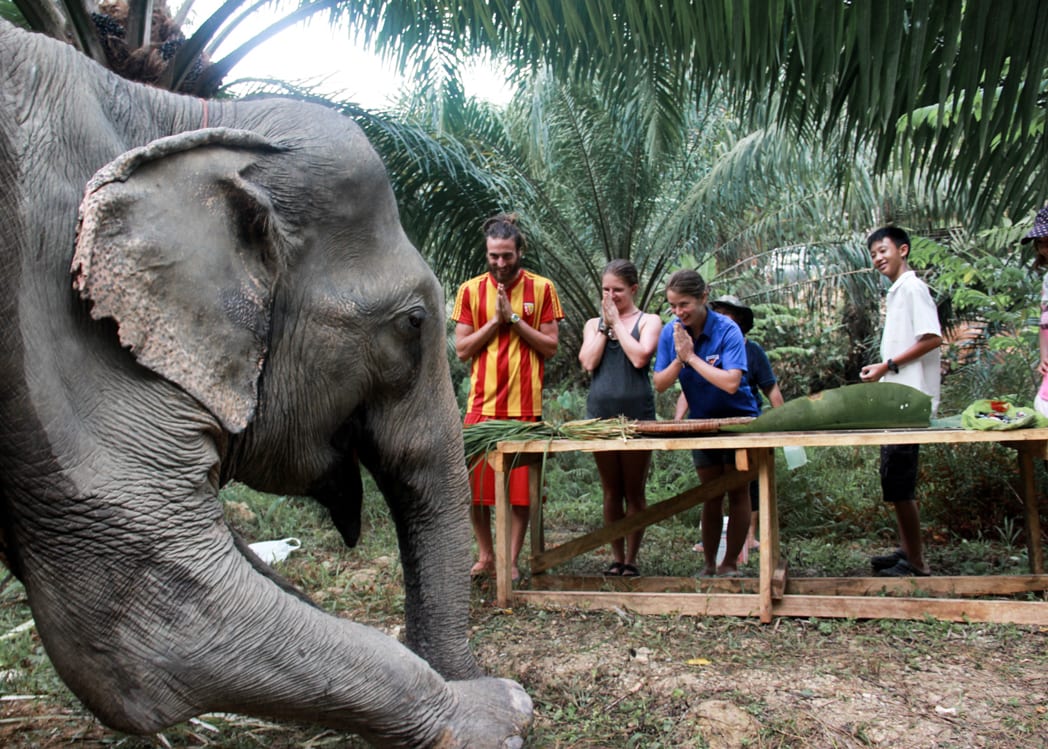 Khao Sok Elephant Sanctuary