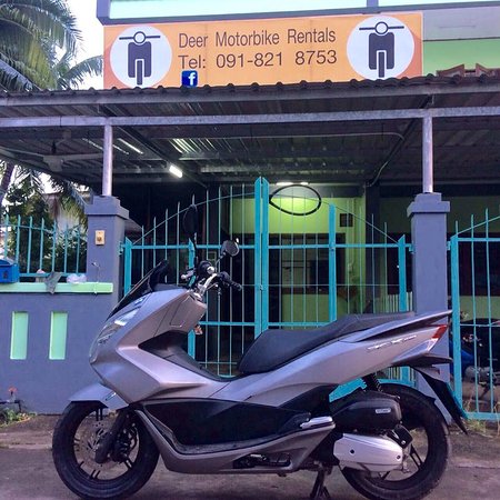 Deer Motorbike Rentals