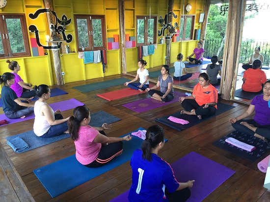 Yoga Essential Studio