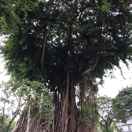 Cong vien Bach Tung Diep