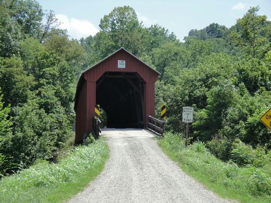 Wayne National Forest
