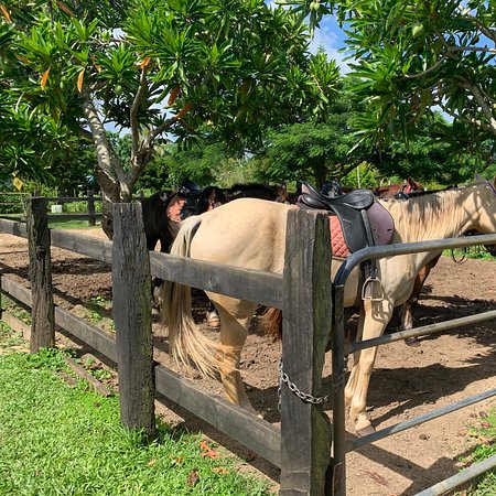 Club Hippique Adventure Park