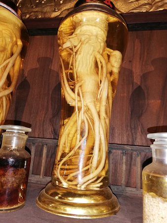 Fito Museum - Museums of Traditional Vietnamese Medicine & Pharmacy
