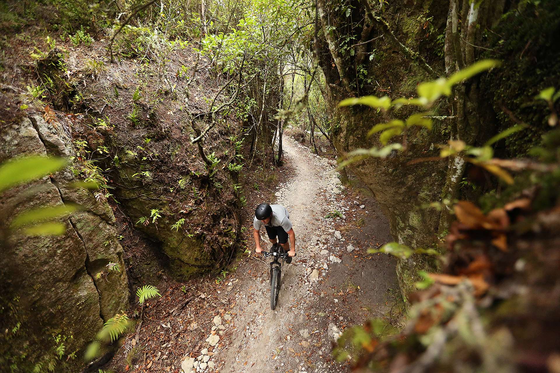 Viking Coastal Trail Bike Hire