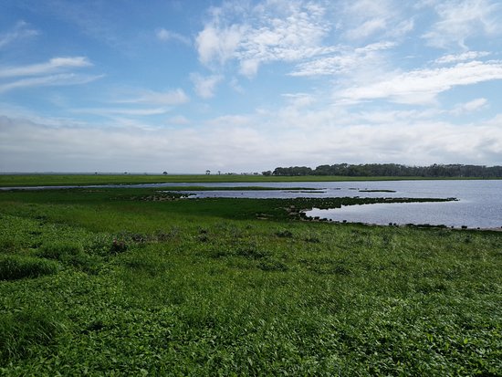 Notsuke Peninsula Natural Flower Garden