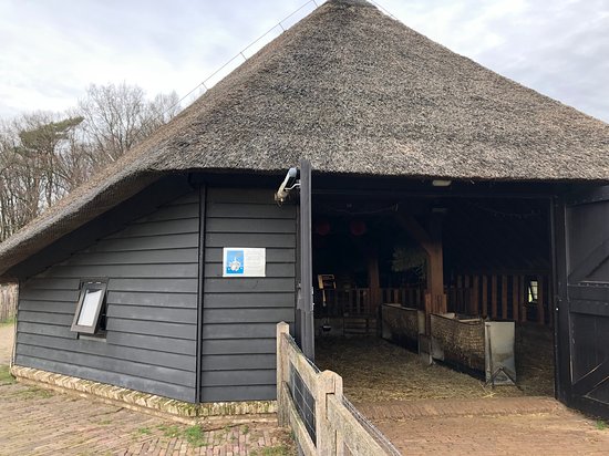 De schaapskooi