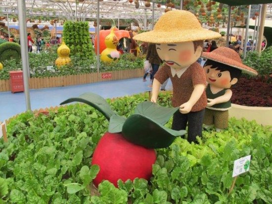 CaoMei BoLanYuan