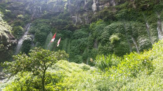 Coban Sumber Pitu