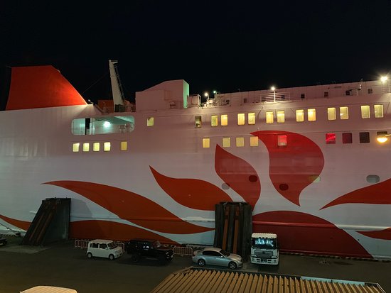 Ferry Sunflower