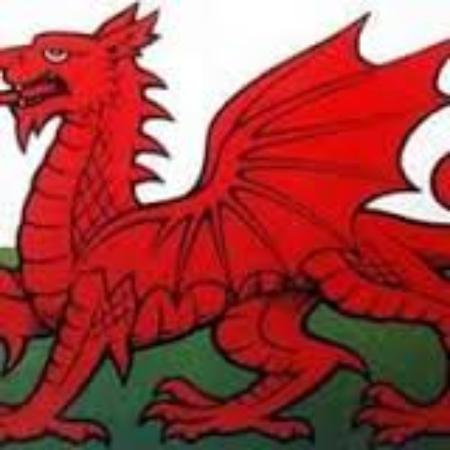 Dragons Den