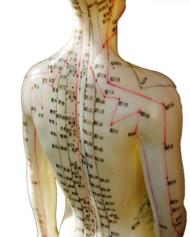 Ascend Acupuncture