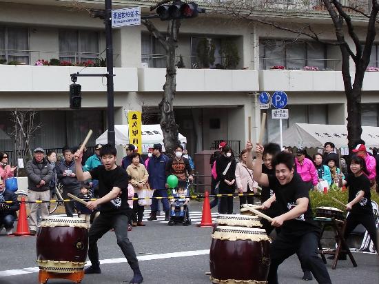 Bunkyo Cherry Blossom Matsuri
