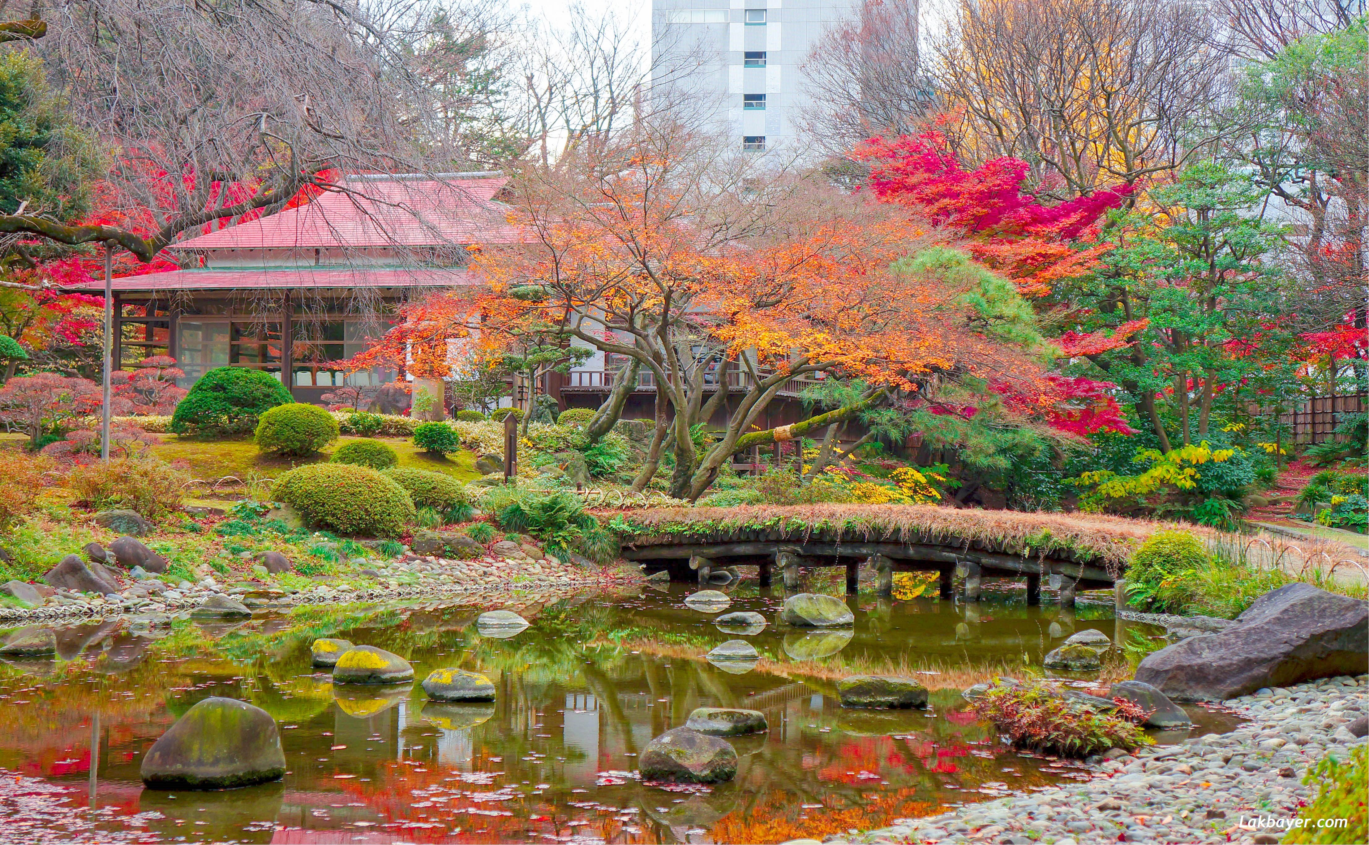 Koishikawa Korakuen Garden