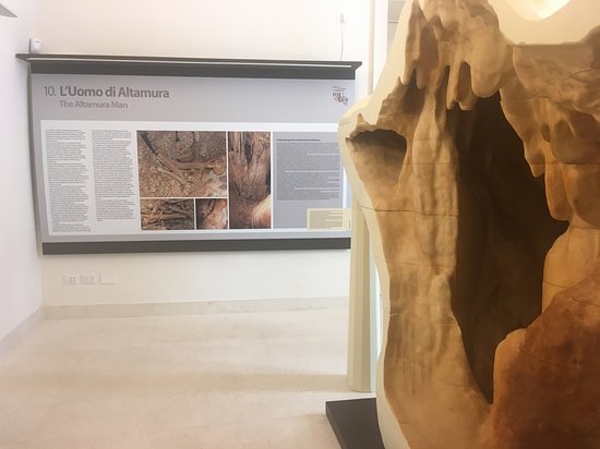 Museo dell'Uomo di Altamura - Palazzo Baldassarre