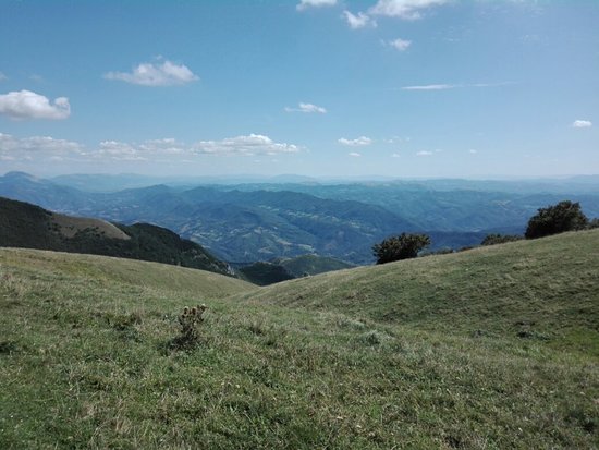 Monte Nerone