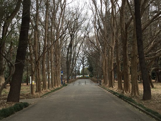 Ageoundo Park