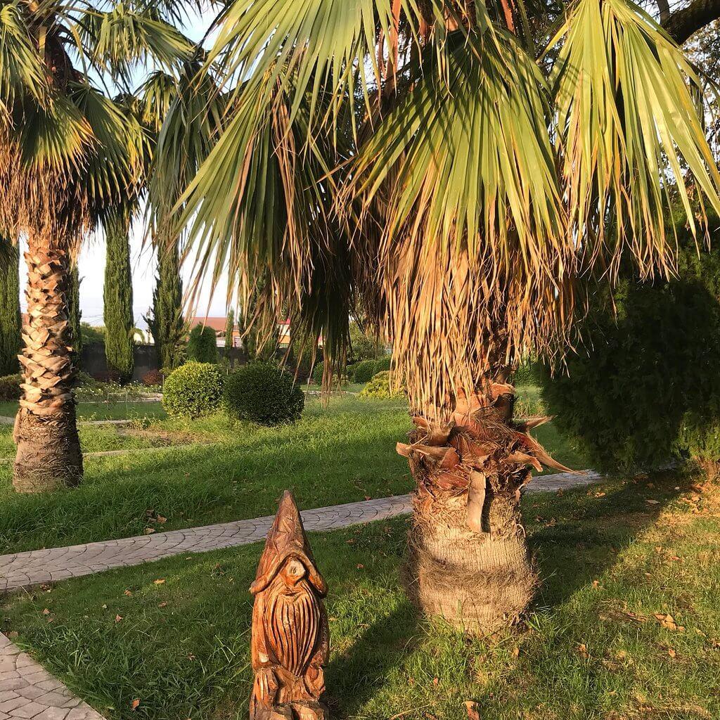Southern Cultures Park