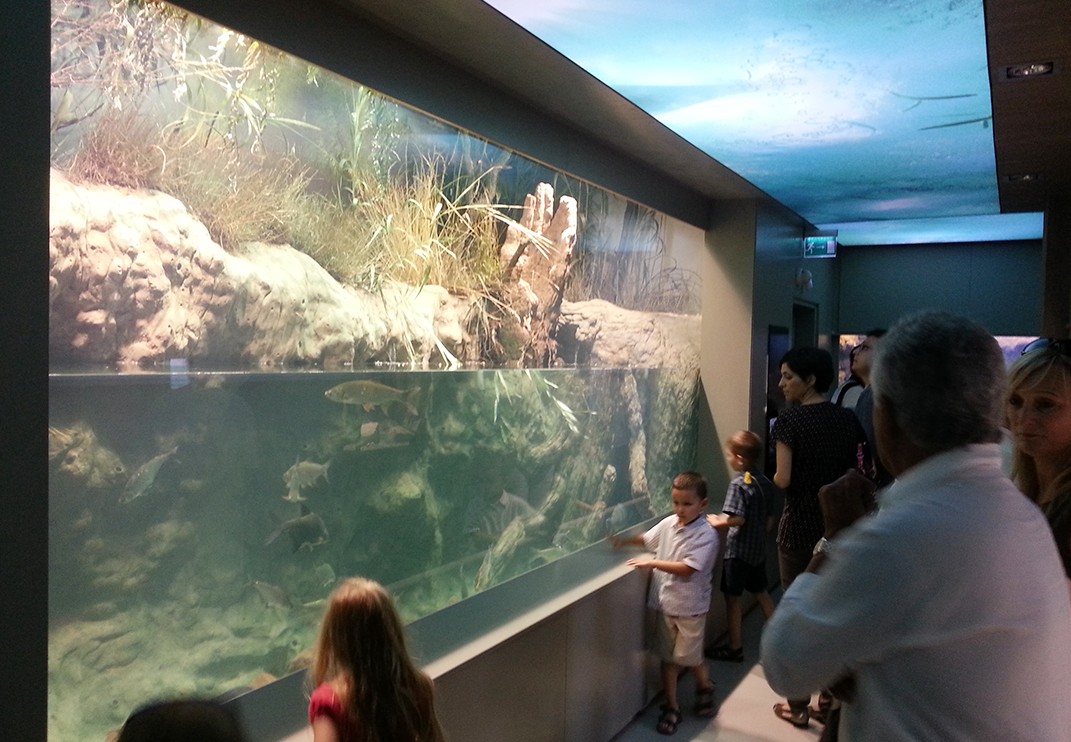 Bodorka Balaton Aquarium