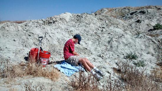 Ernst Quarries