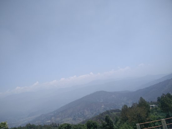 Kasauni Tea Estate