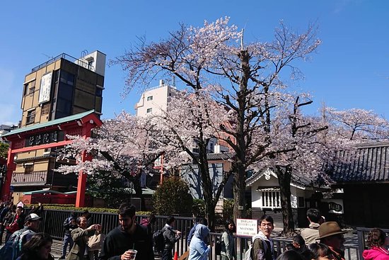 Komachi Hair 03 Asakusa Nakamise St