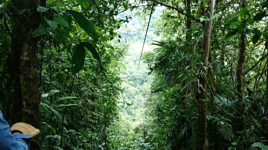 Canopy San Luis