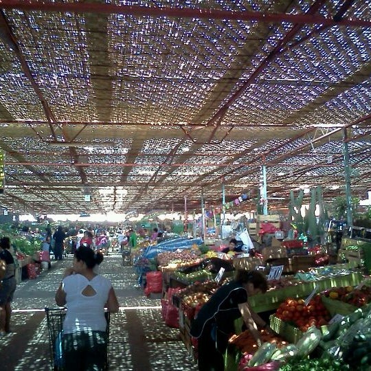 Terminal Agropecuario Arica